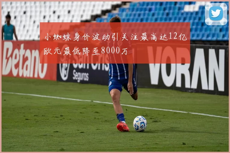 小蜘蛛身价波动引关注最高达12亿欧元最低降至8000万