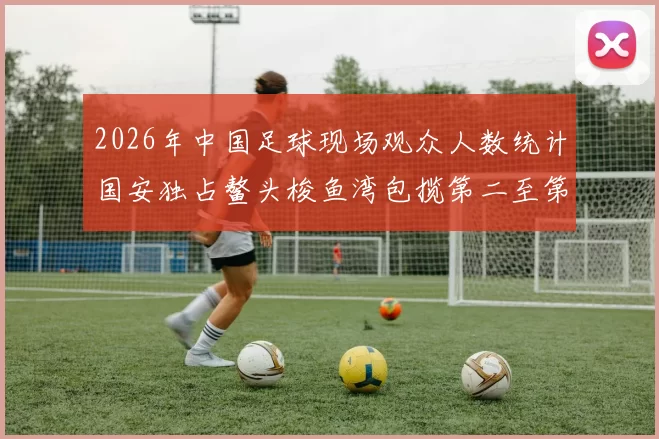 2026年中国足球现场观众人数统计国安独占鳌头梭鱼湾包揽第二至第七位