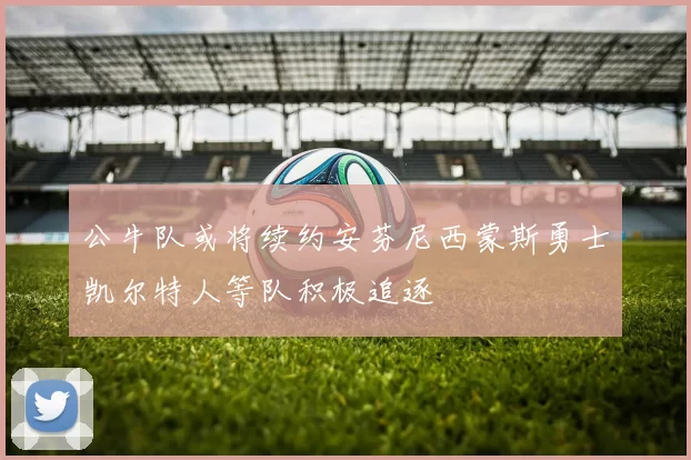 公牛队或将续约安芬尼西蒙斯勇士凯尔特人等队积极追逐